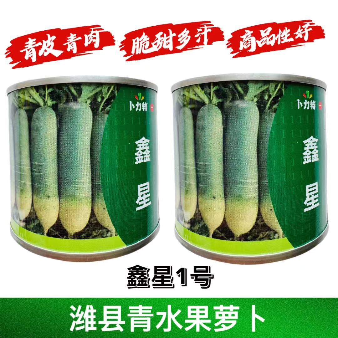 鑫星1号水果萝卜种子圆柱形大青萝卜种籽绿皮绿肉口感脆甜耐储存