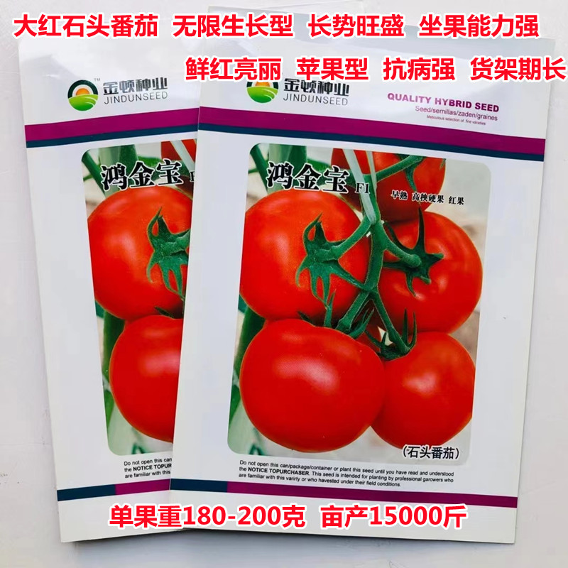 大红番茄种子早熟耐热高产抗病