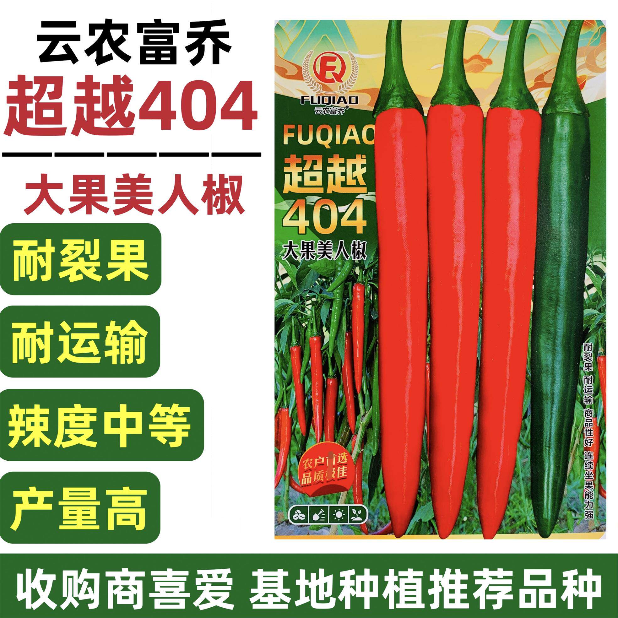 新品种大果美人椒种籽超越404美人椒种子海花红辣椒种子大号耐裂