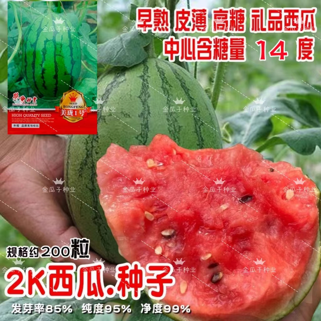 美珑1号2k西瓜超甜耐裂高圆早熟