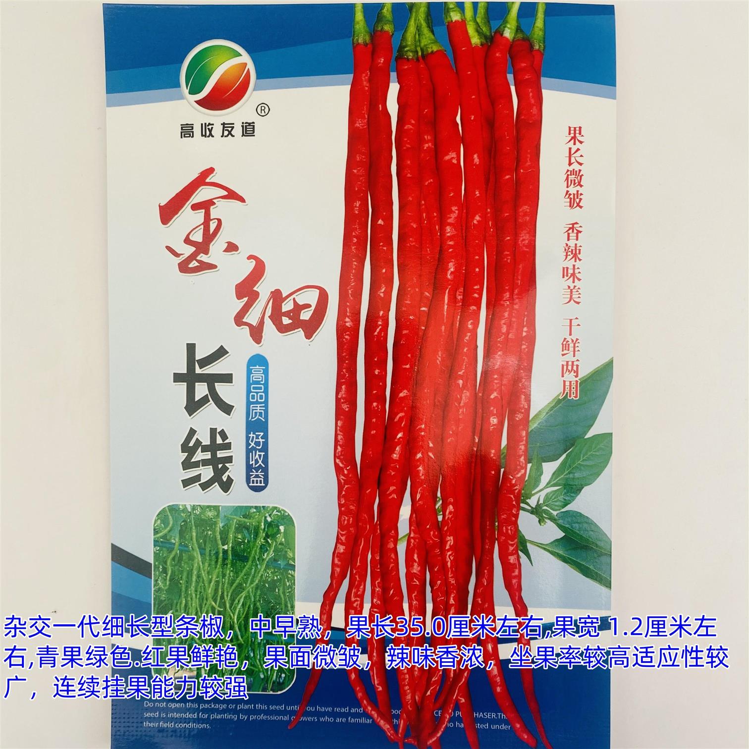 金细长线四川柄下有褶皱有棱丝瓜种子长羊角形果长约28厘米耐储藏