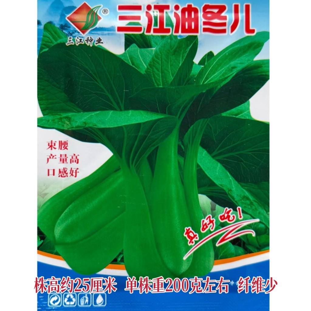 杭州油冬儿种子种籽蔬菜孑菜籽菜种四季籽种小青菜秋冬季油菜冬菜