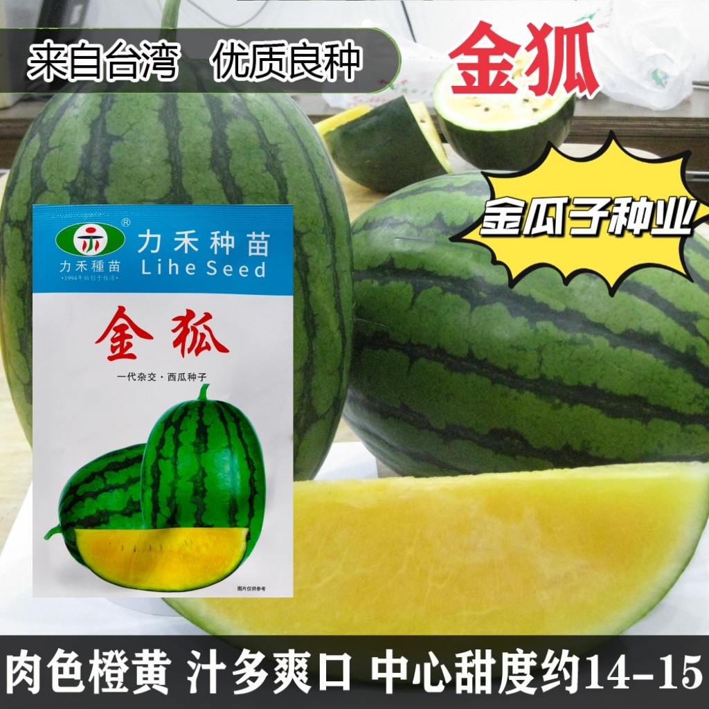 金狐冰糖黄瓤冰淇淋西瓜种子早熟特甜皮薄耐裂高糖大果型西瓜种籽