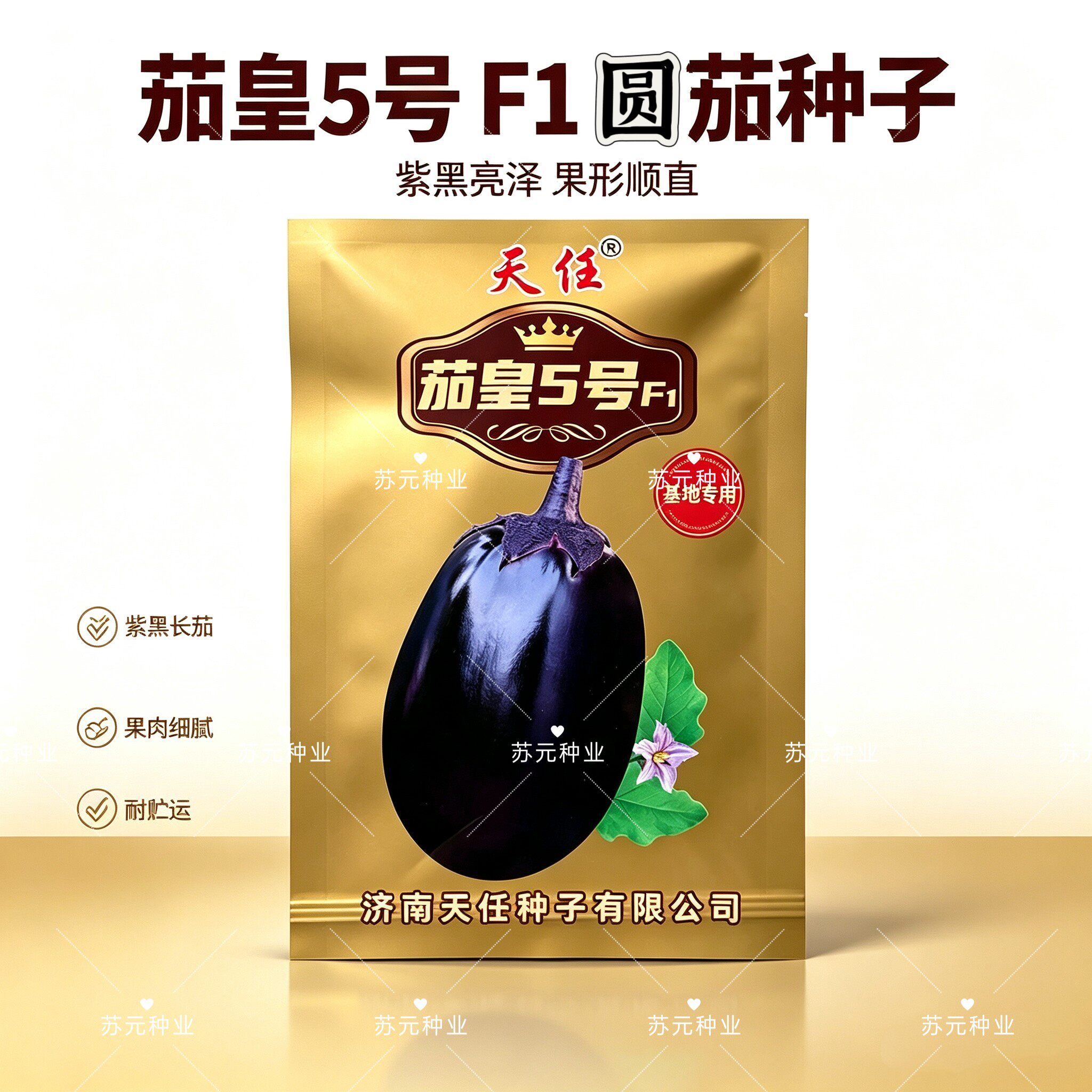 茄皇5号牛心罐茄子种子杂交长灯泡型5g中熟果卵圆形坐果率高基地
