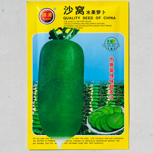 沙窝水果萝卜种子肉质翠绿味甜多汁青萝卜秋播蔬菜生熟食用萝卜籽
