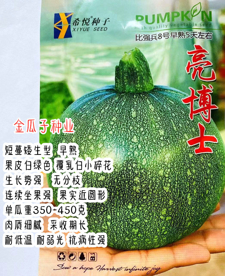亮博士早熟西葫芦种籽嫩南瓜花皮小青瓜高产爬藤春秋四季蔬菜种子