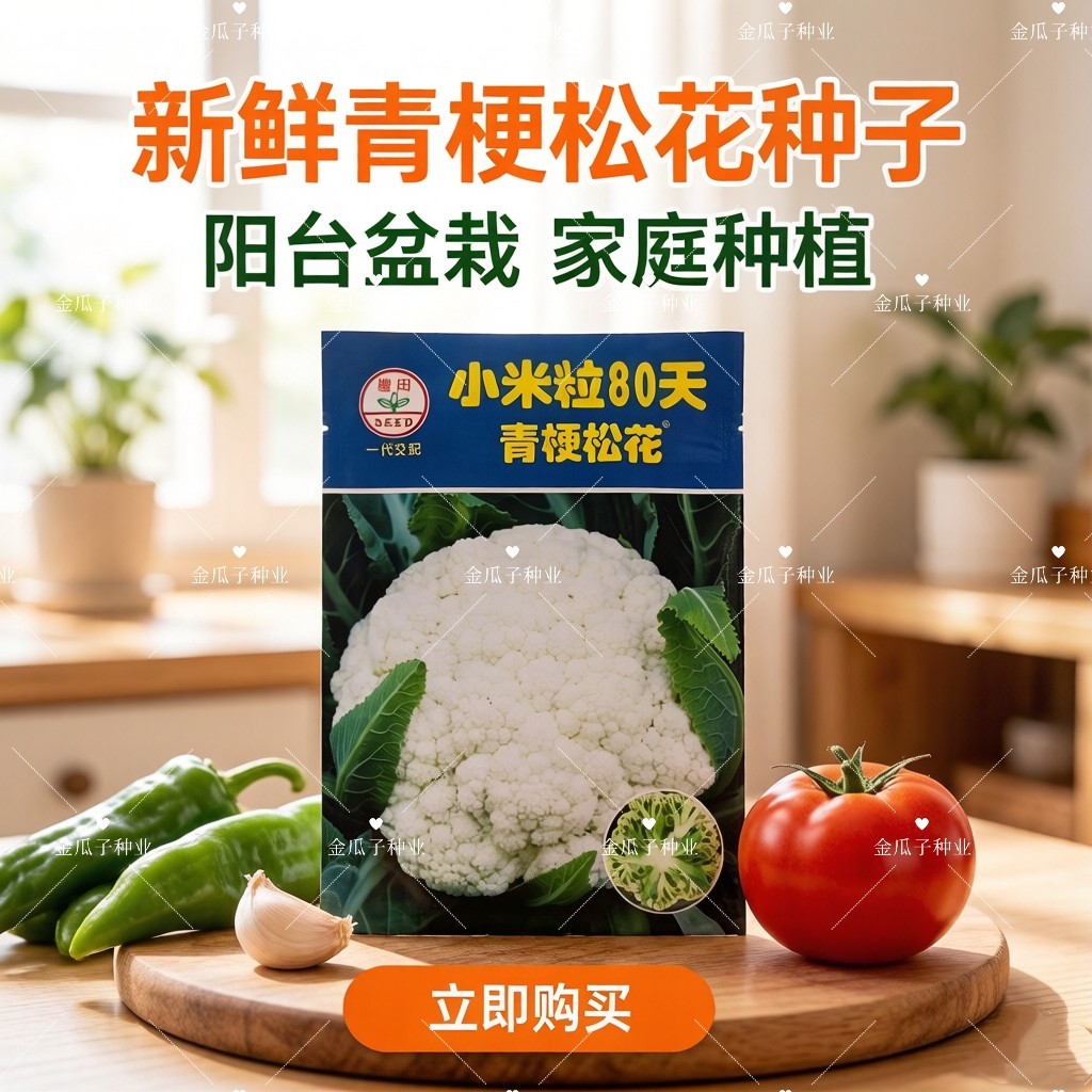 小米粒80天青梗松花菜种子高产早熟抗热花梗青绿花椰菜种籽