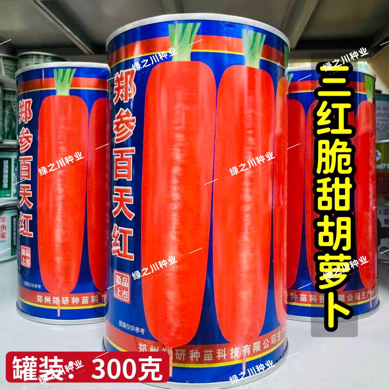 郑参百天红胡萝卜种子高产脆甜三红胡萝卜种籽七寸胡萝卜种子秋季