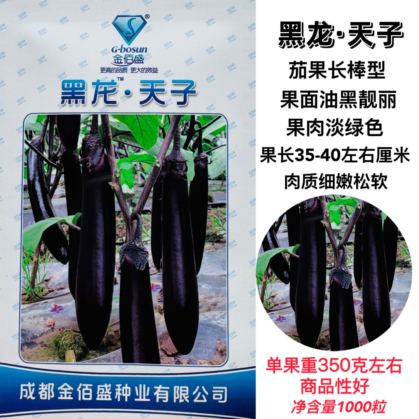 黑龙天子杂交一代茄子种子黑长茄肉质松软果实长棒型春秋基地茄籽