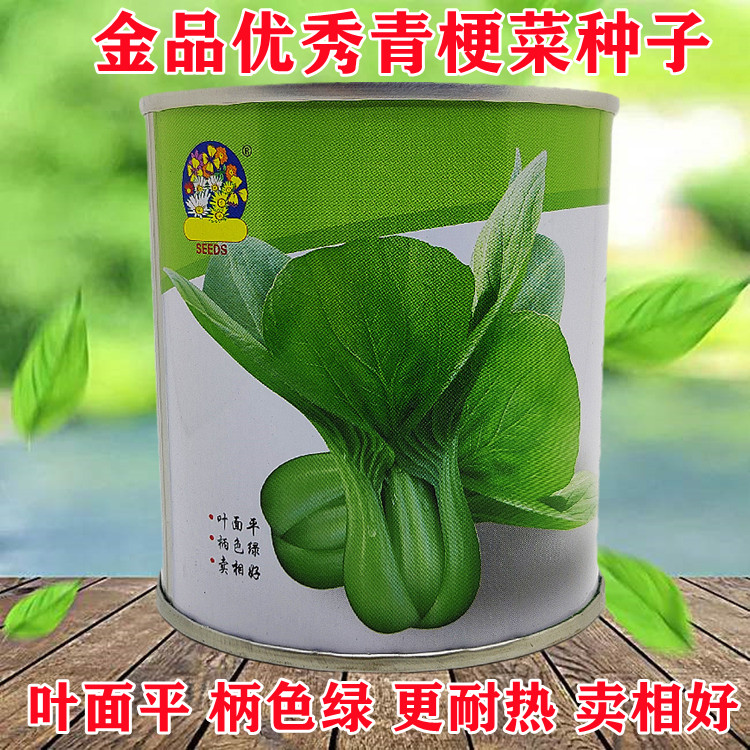 金品优秀青梗菜种子四季小青菜上海青耐热改良金品28金品535菜种