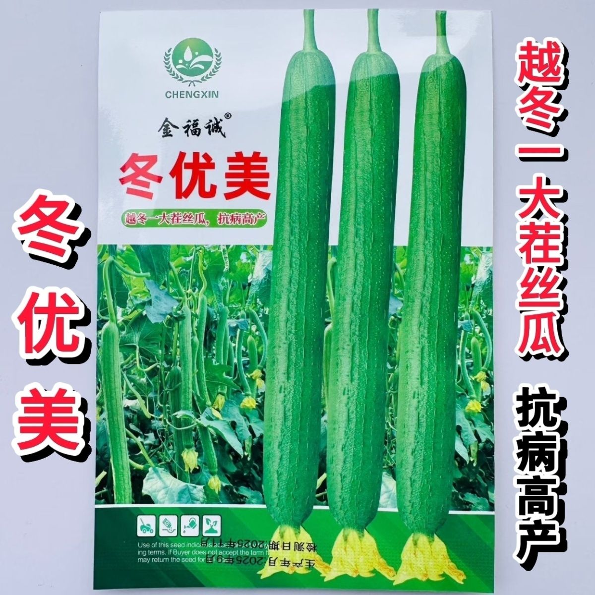 冬优美越冬一大茬长丝瓜种子瓜条顺直翠绿肉质硬叶片小产量高10g