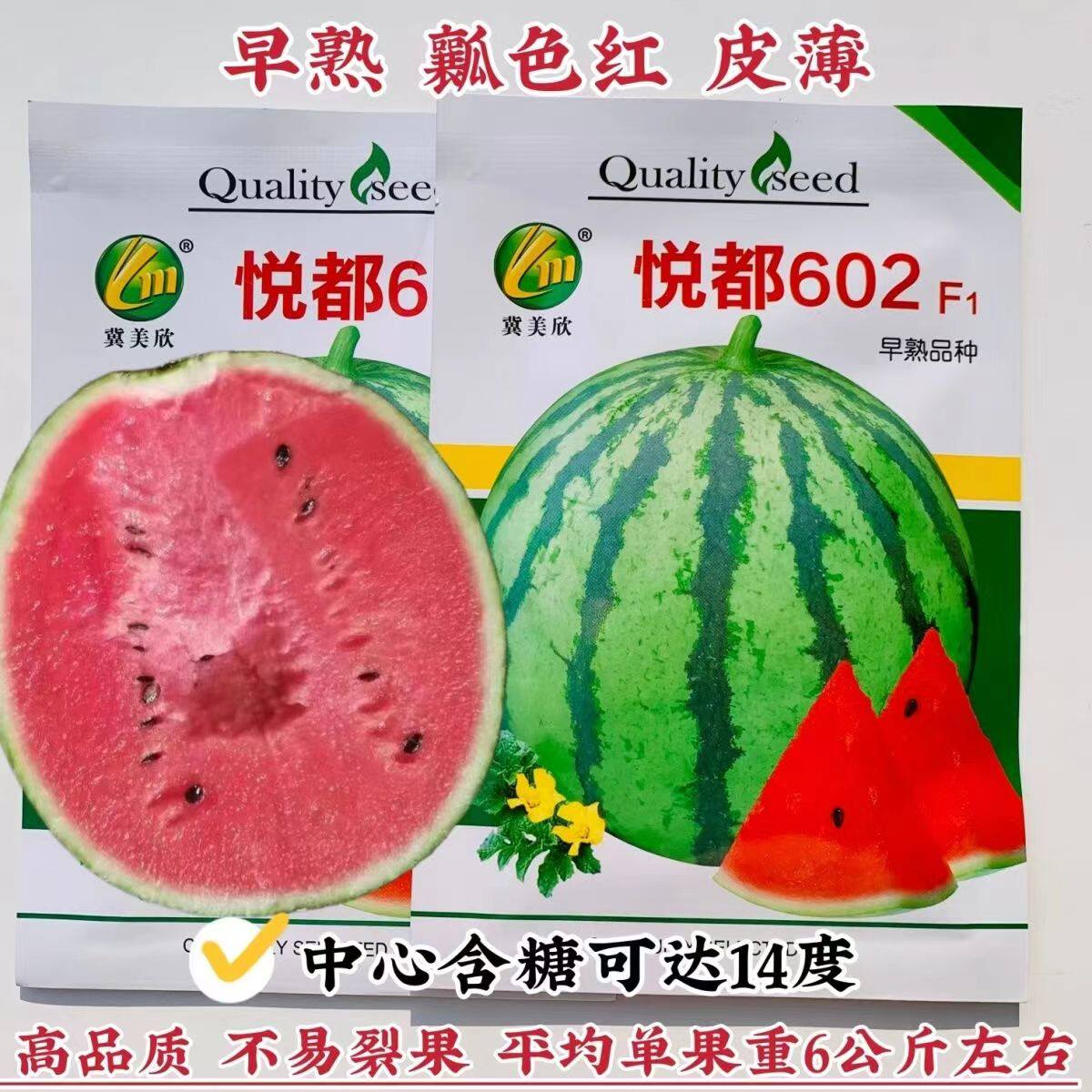 悦都602F1西瓜种子皮薄早熟品种瓤色红糖度高圆球型西瓜种籽耐裂