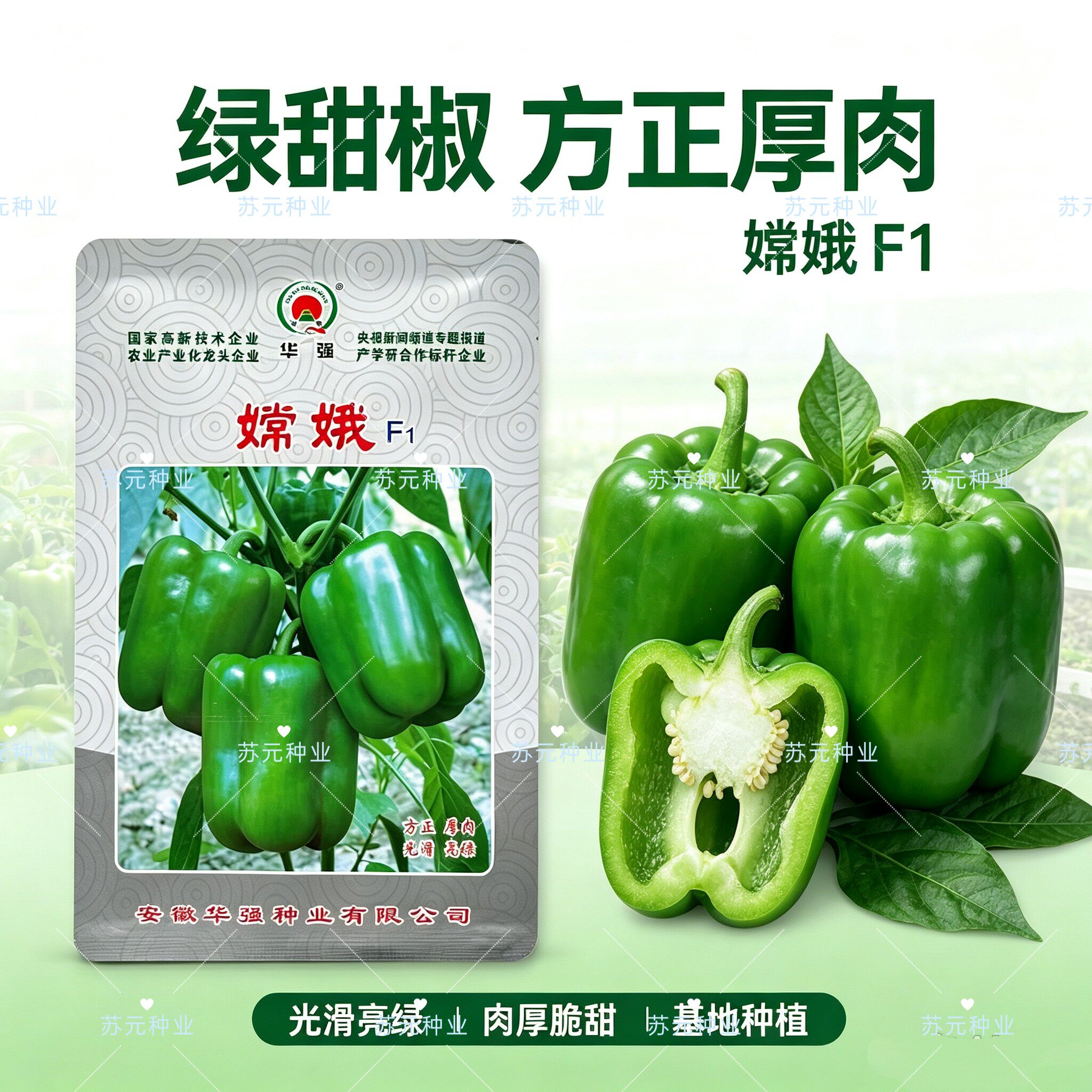 华强嫦娥辣椒种子早熟甜椒灯笼椒果皮肉厚亮绿大果方椒种籽春秋种