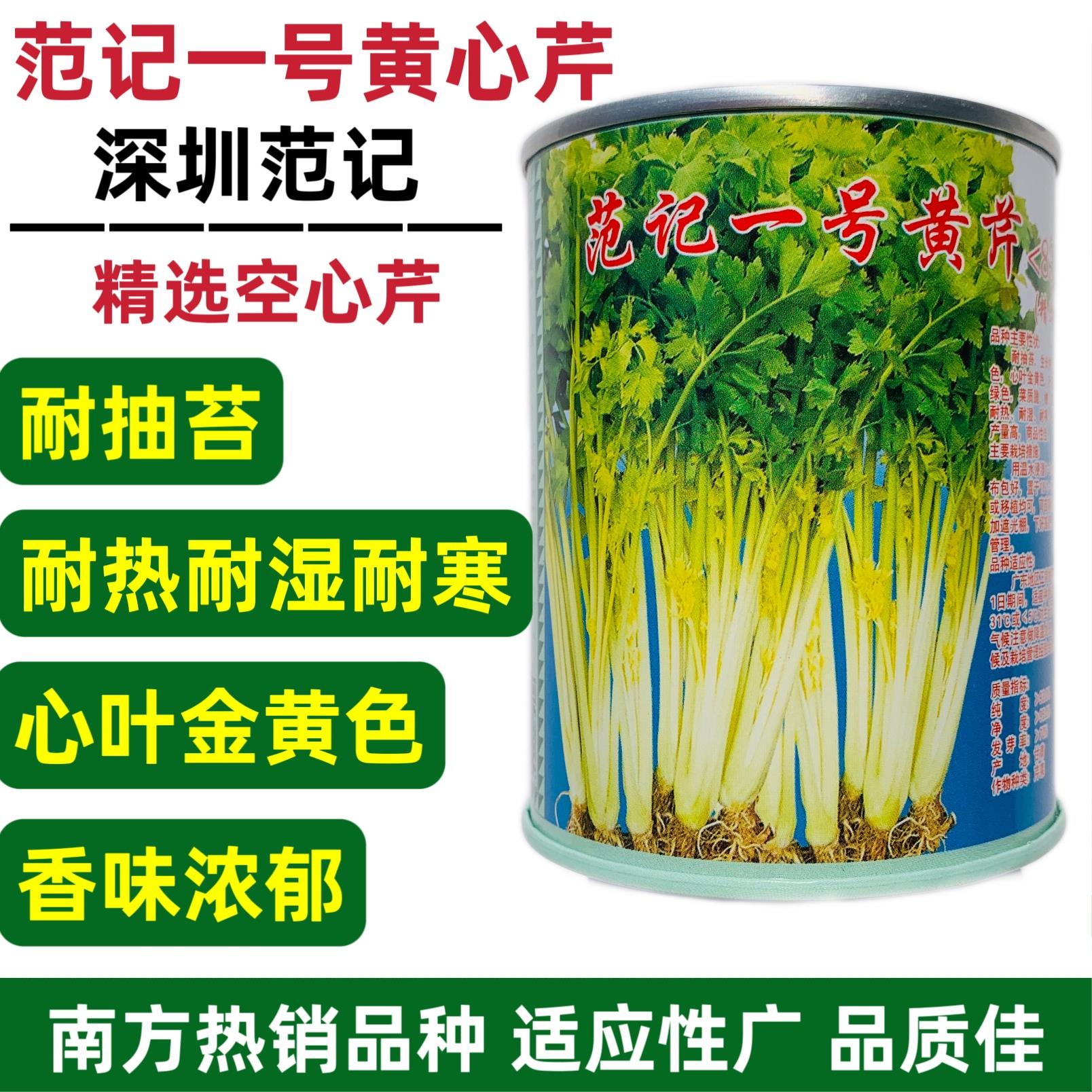 一号黄心芹种子广东空心芹菜种籽耐热耐湿耐抽苔生长快抗病强