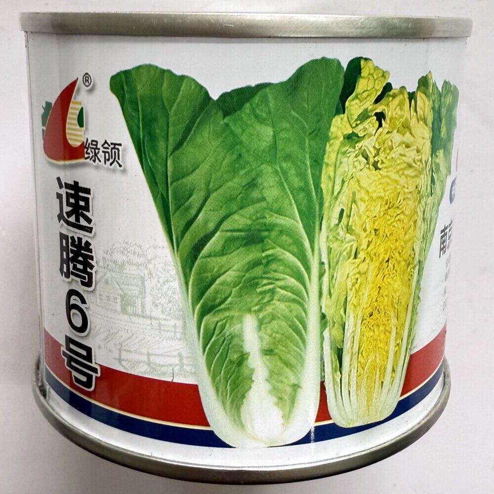 速腾6号快菜种子杂交抗病耐热耐湿白菜种籽农家春夏秋季播种