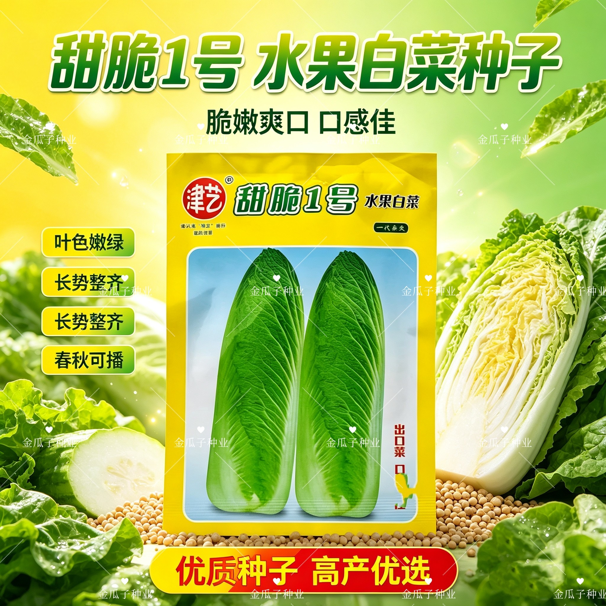 津艺甜脆1号水果白菜种子杂交直筒高型清甜秋季蔬菜瓜果种籽高产