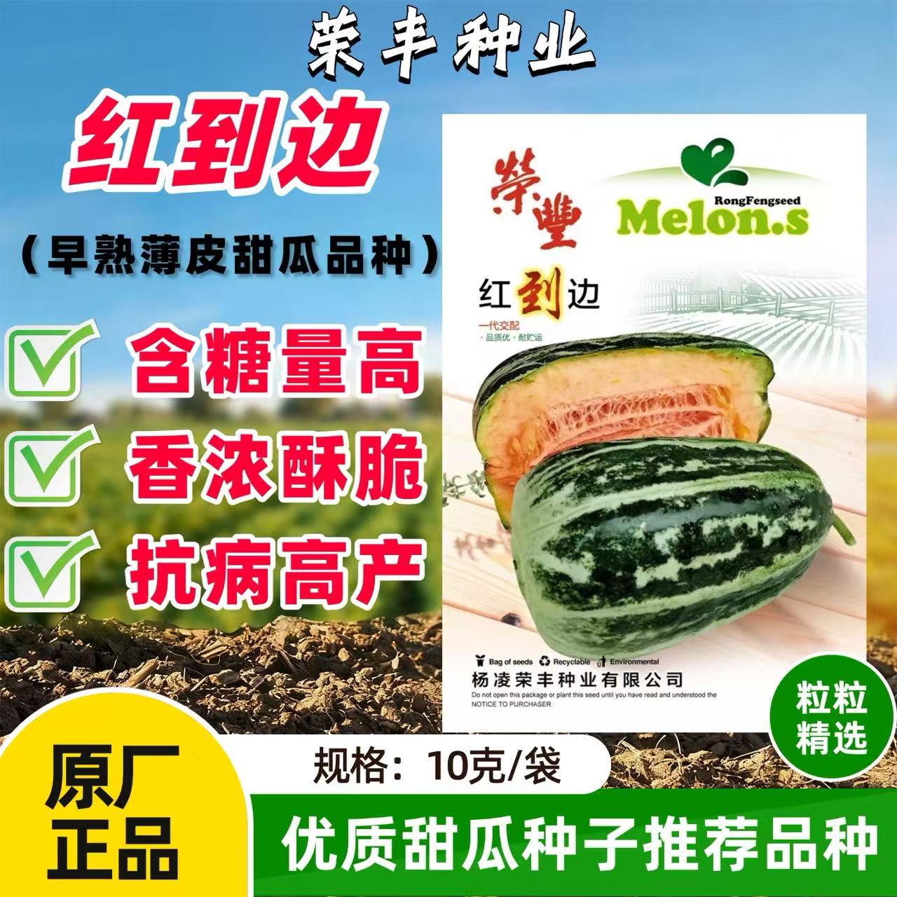 荣丰红到边甜瓜种子早熟花皮红瓤超甜冰糖脆甜到边春秋季香瓜种籽