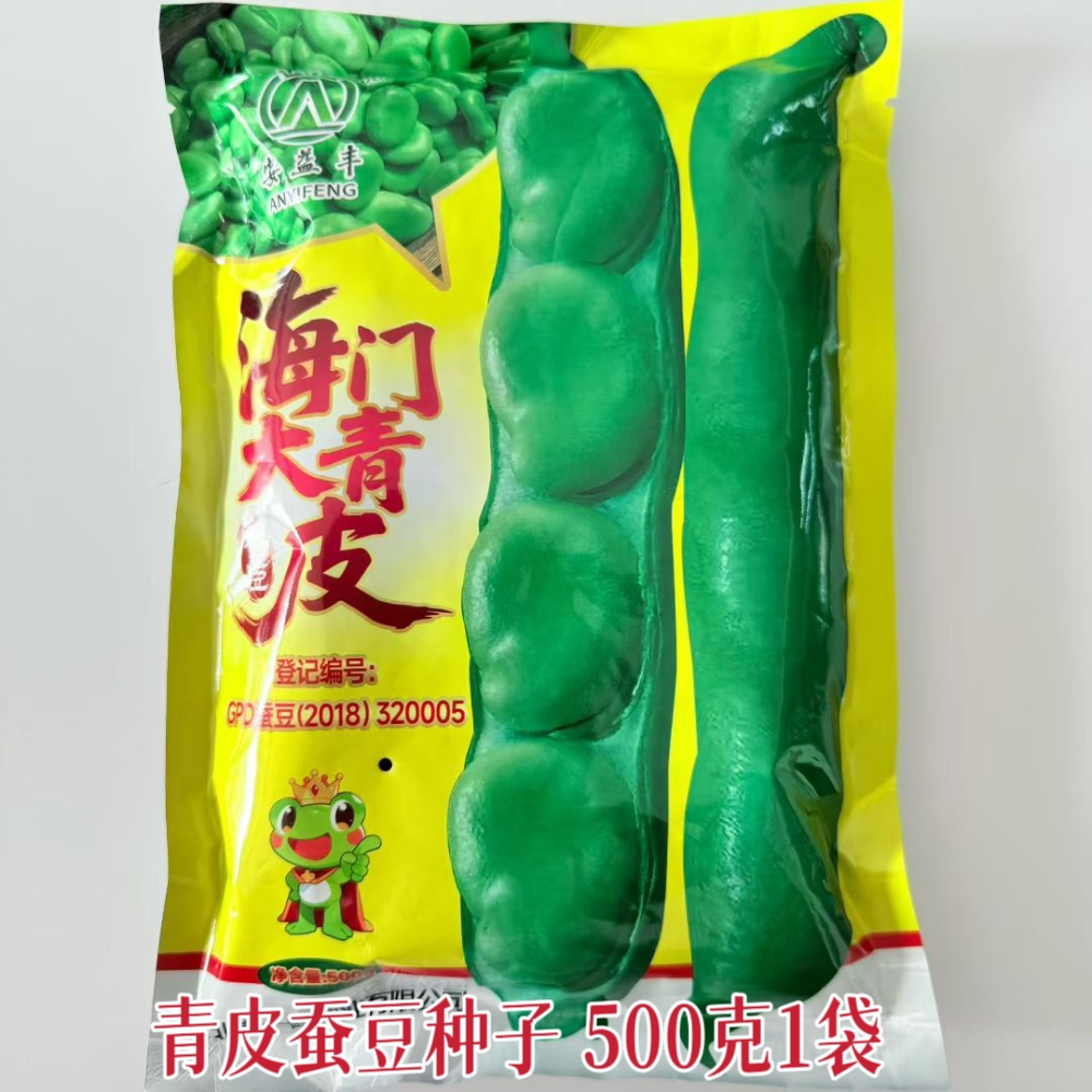 海门大青皮蚕豆种子秋播耐寒抗倒兰花豆胡豆种籽七星剑蚕豆蔬菜孑