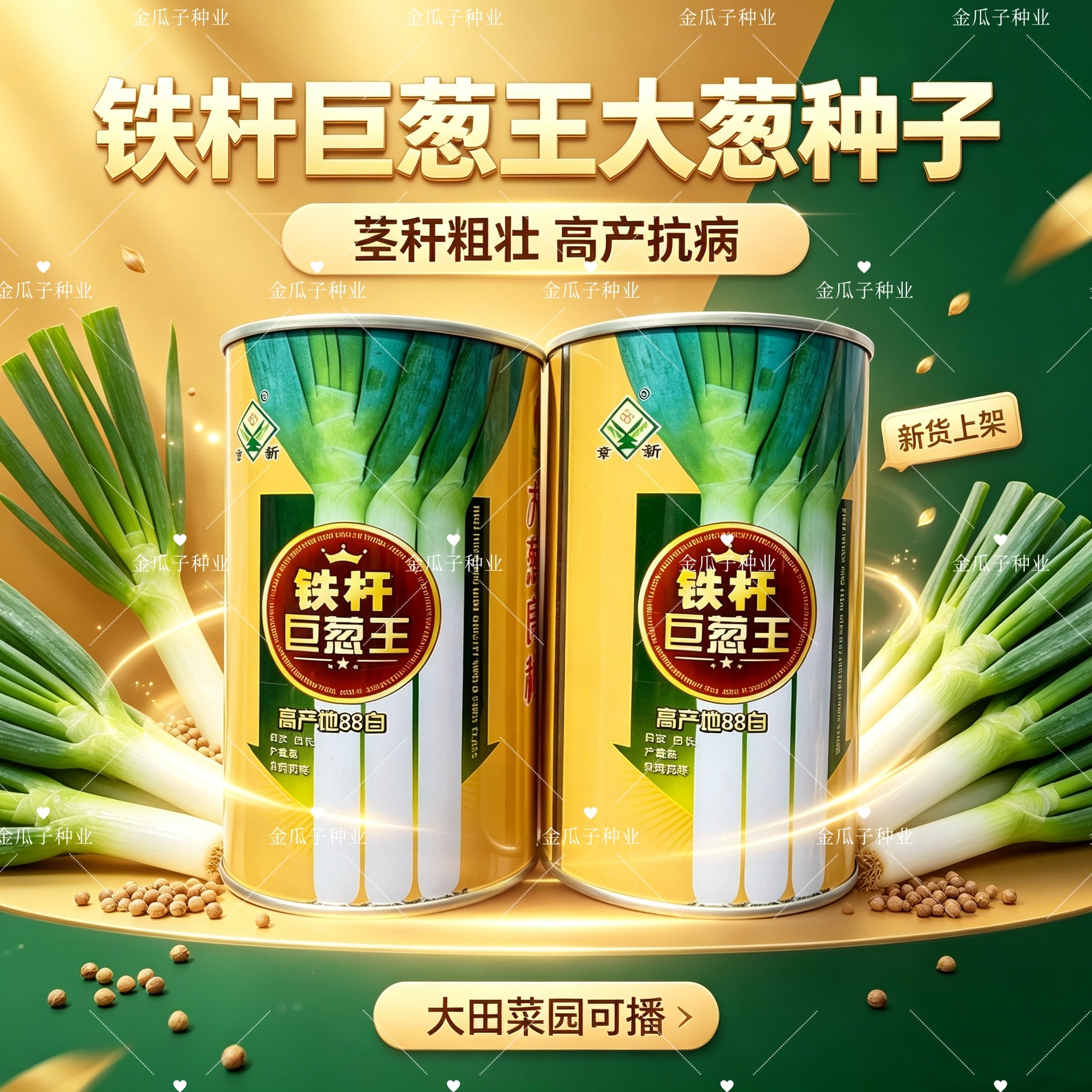 章丘山东铁杆巨葱王种子抗病高白叶片抗寒高产耐寒大葱深绿