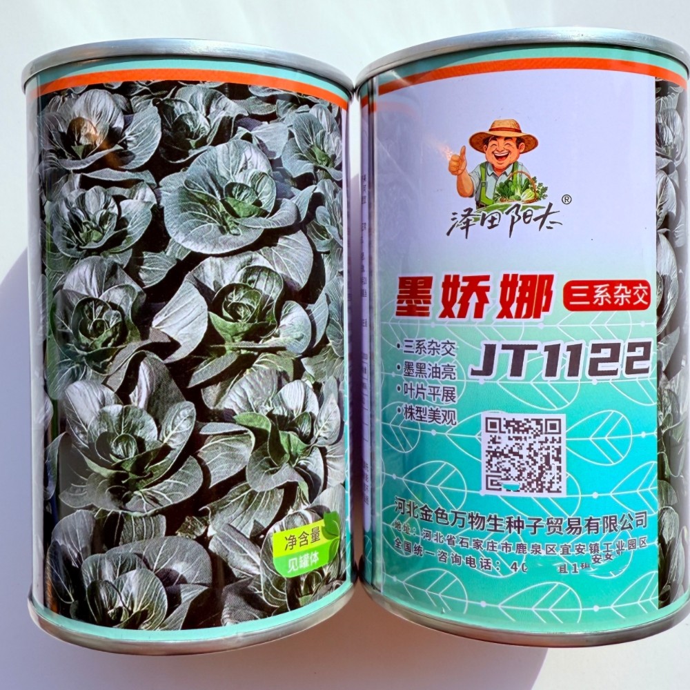 墨娇娜三系杂交矮脚苏州青种子耐寒抗病性强叶色墨黑油亮青菜种籽