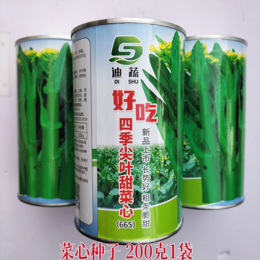 四季尖叶甜菜心种子农家春秋季油青菜苔种籽纤维少味清甜蔬菜种孑