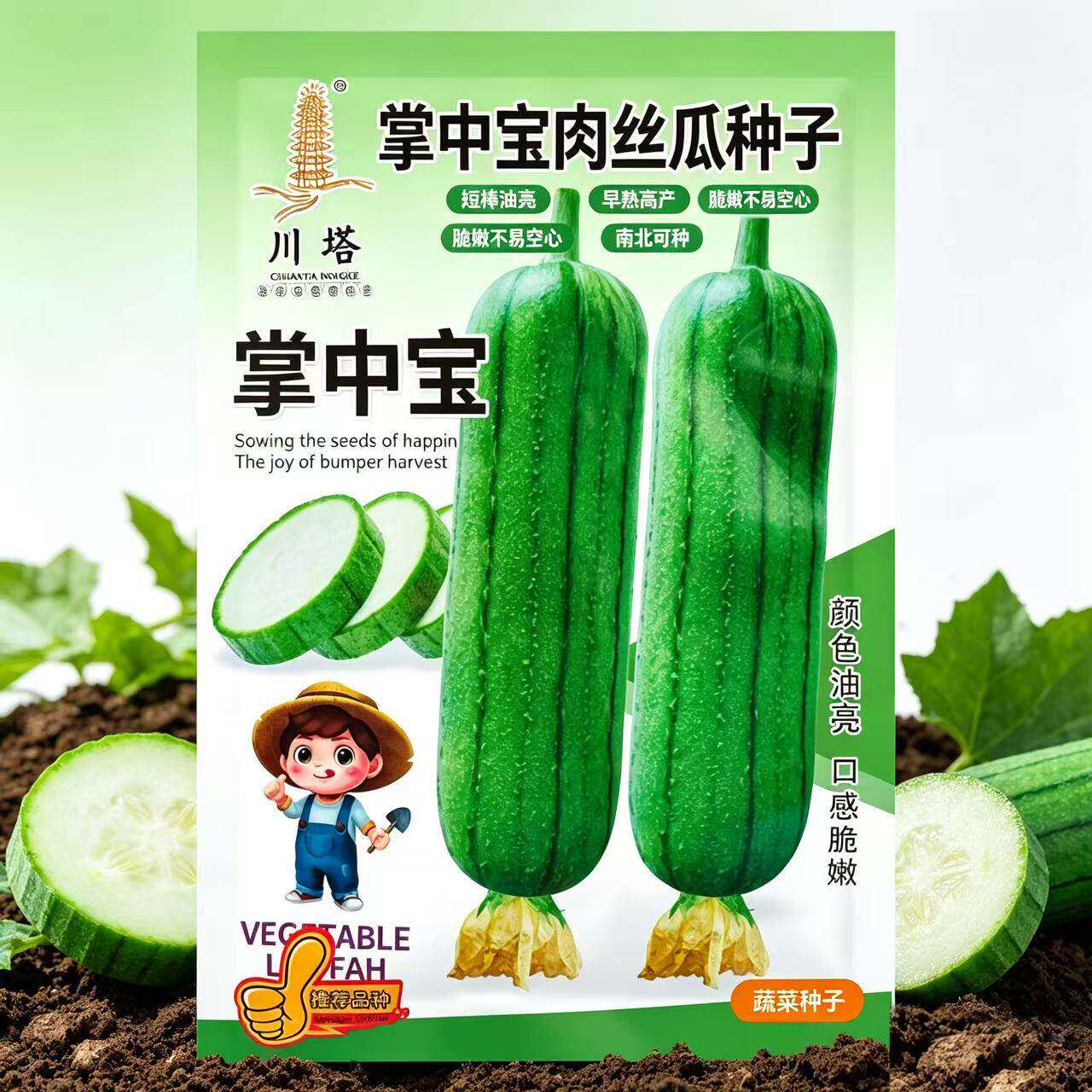 掌中宝肉丝瓜种子早熟高产短胖肉丝瓜种籽春秋播农家菜园大田播种