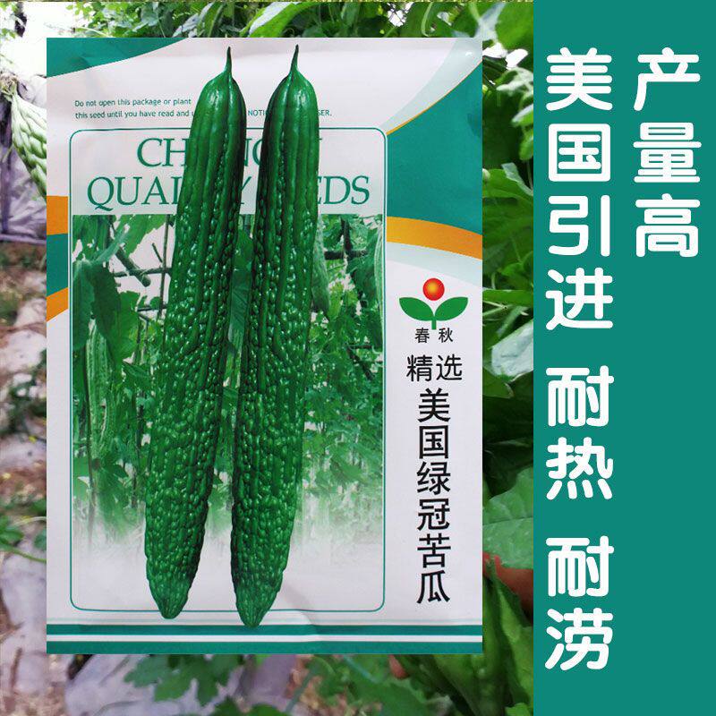 美国进口绿冠苦瓜种子疙瘩绿苦瓜高产早熟抗病耐热寒基地大田用种