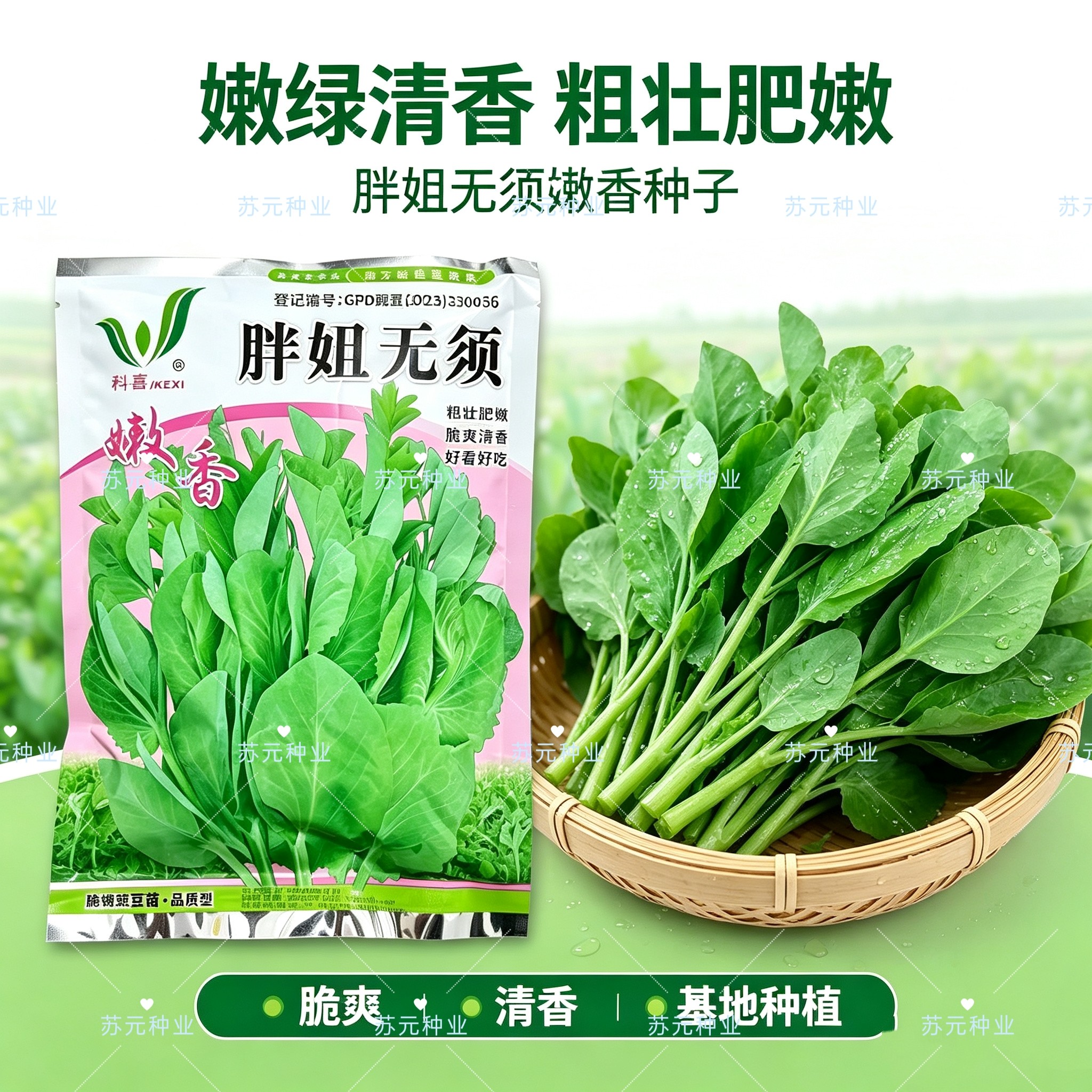 胖妞无须豌豆苗种子采收期长鲜嫩无须芽苗菜豌豆尖豌豆苗无须豆芽