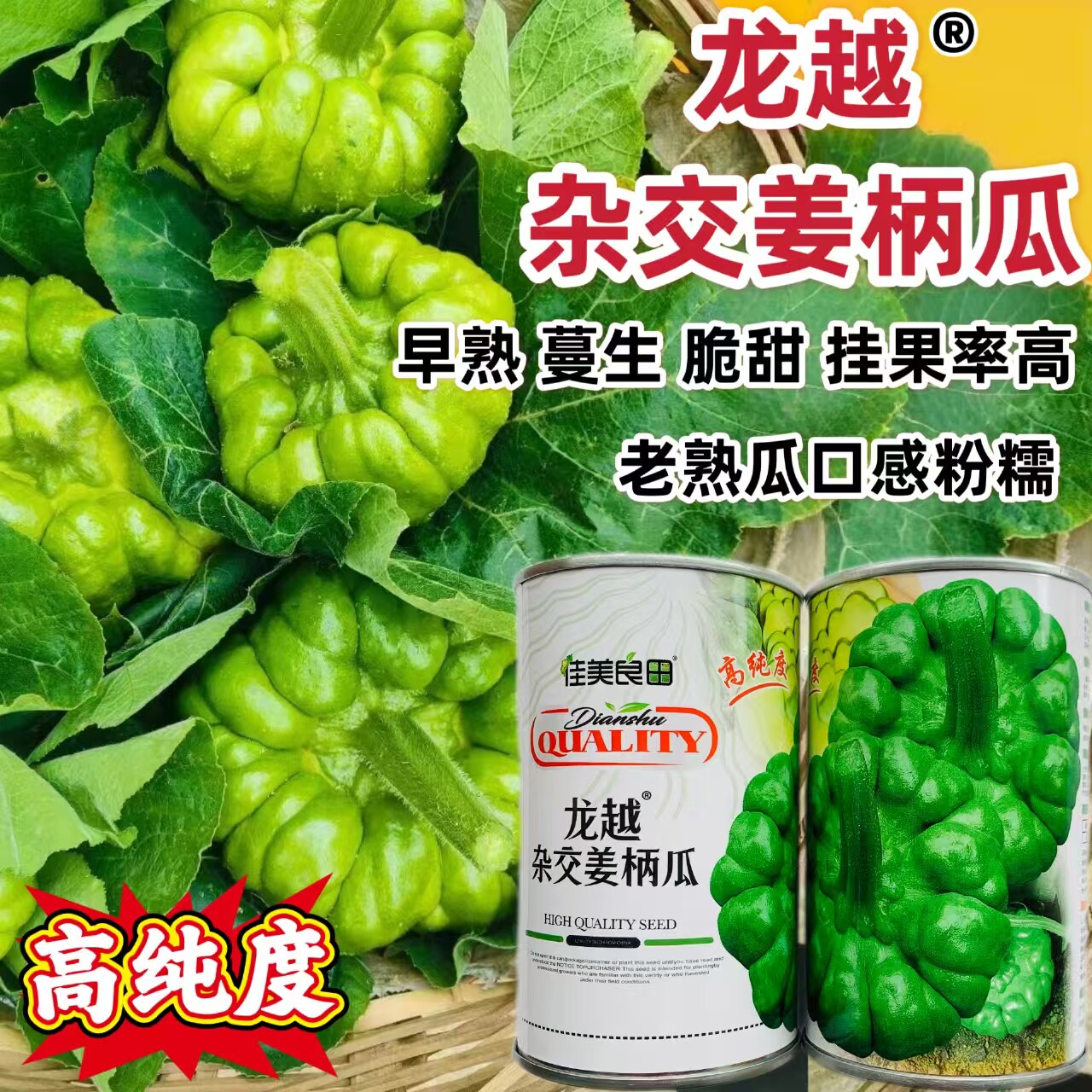 龙樾杂交姜柄瓜种子早熟蔓生姜饼瓜香甜花盘磨盘南瓜籽春秋蔬菜孑