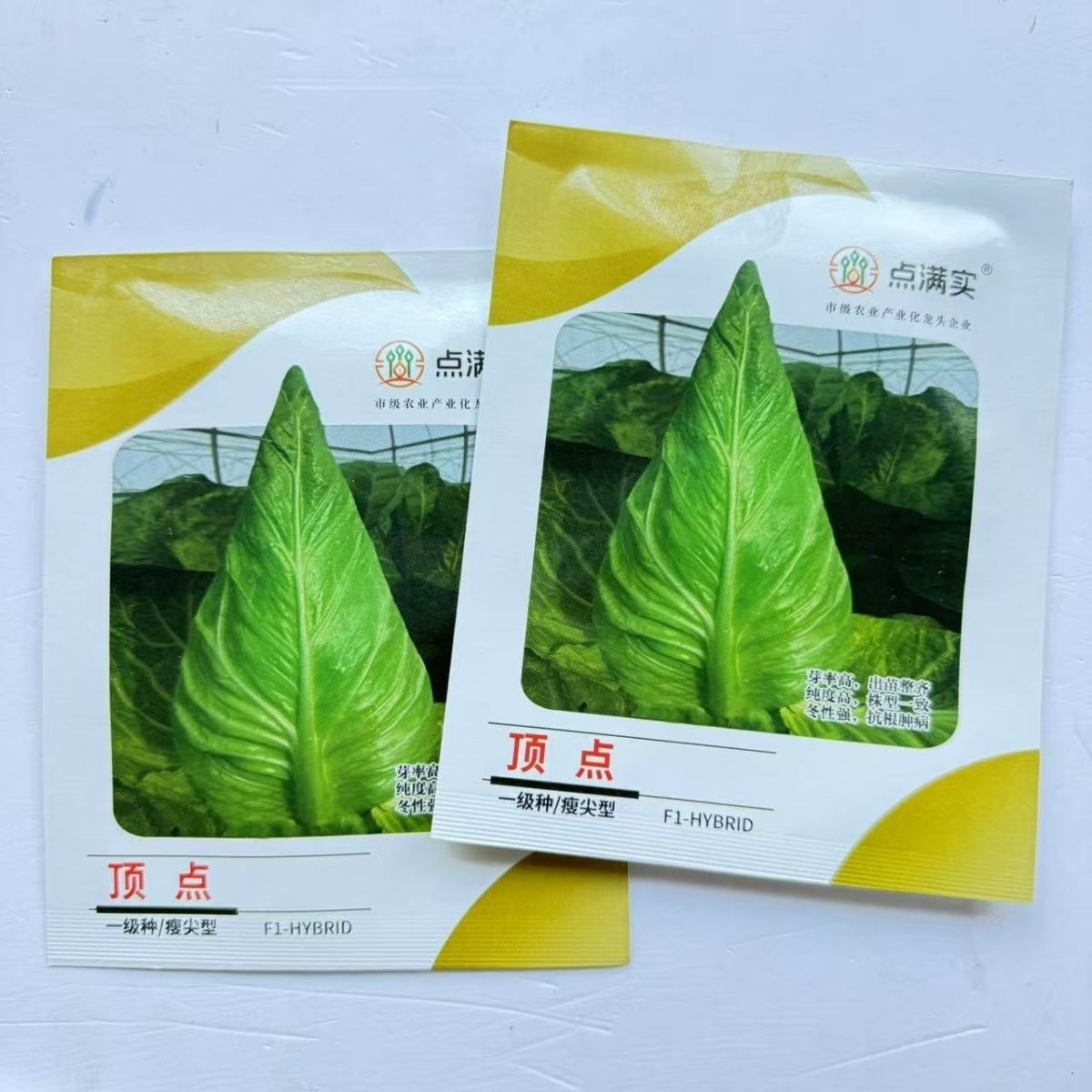 顶点瘦尖型牛心甘蓝种子早中熟叶翠绿油亮冬性强抗根肿耐抽薹耐裂