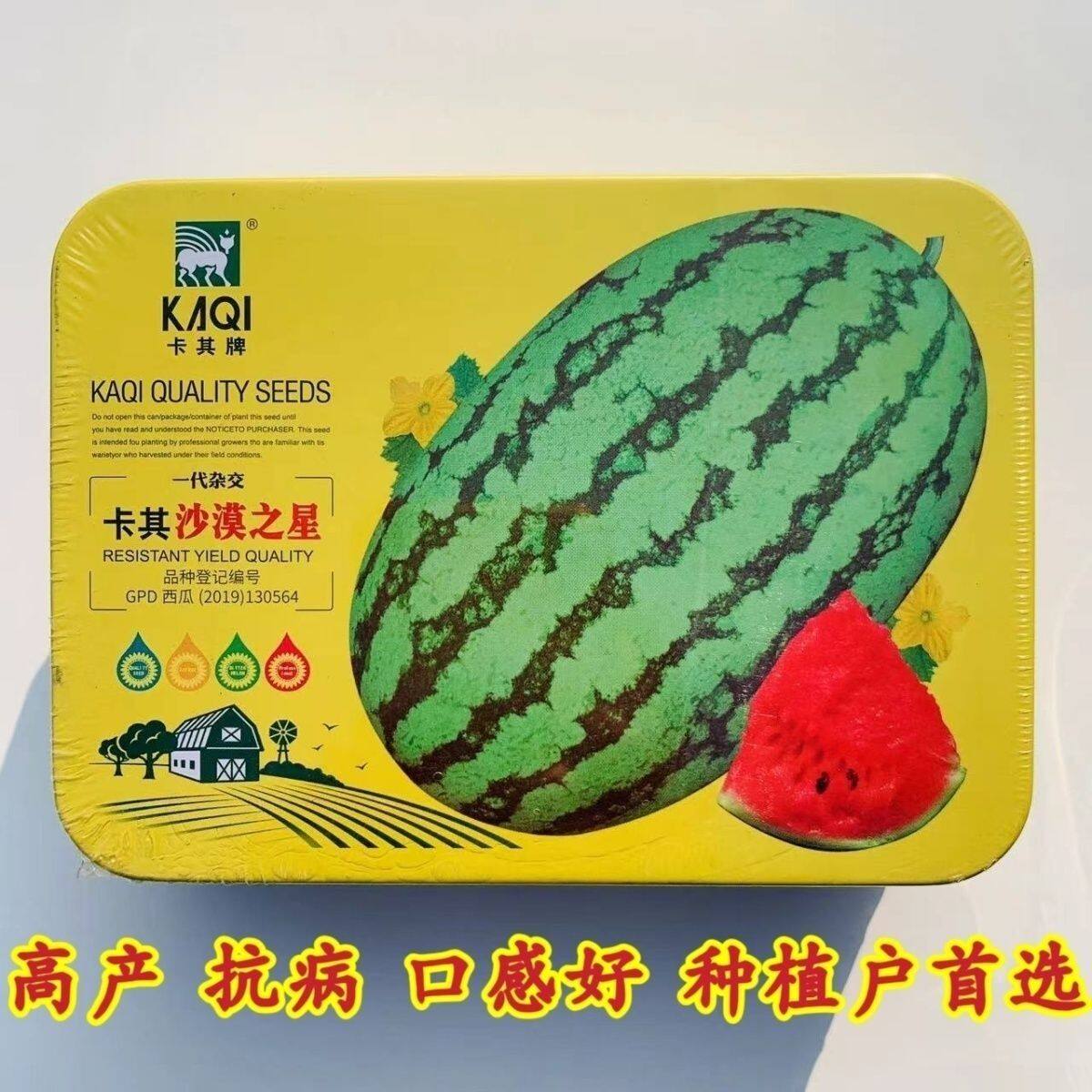 耐重茬卡其牌西瓜种子 大果型绿花皮沙漠之星西瓜种籽孑,含糖量高