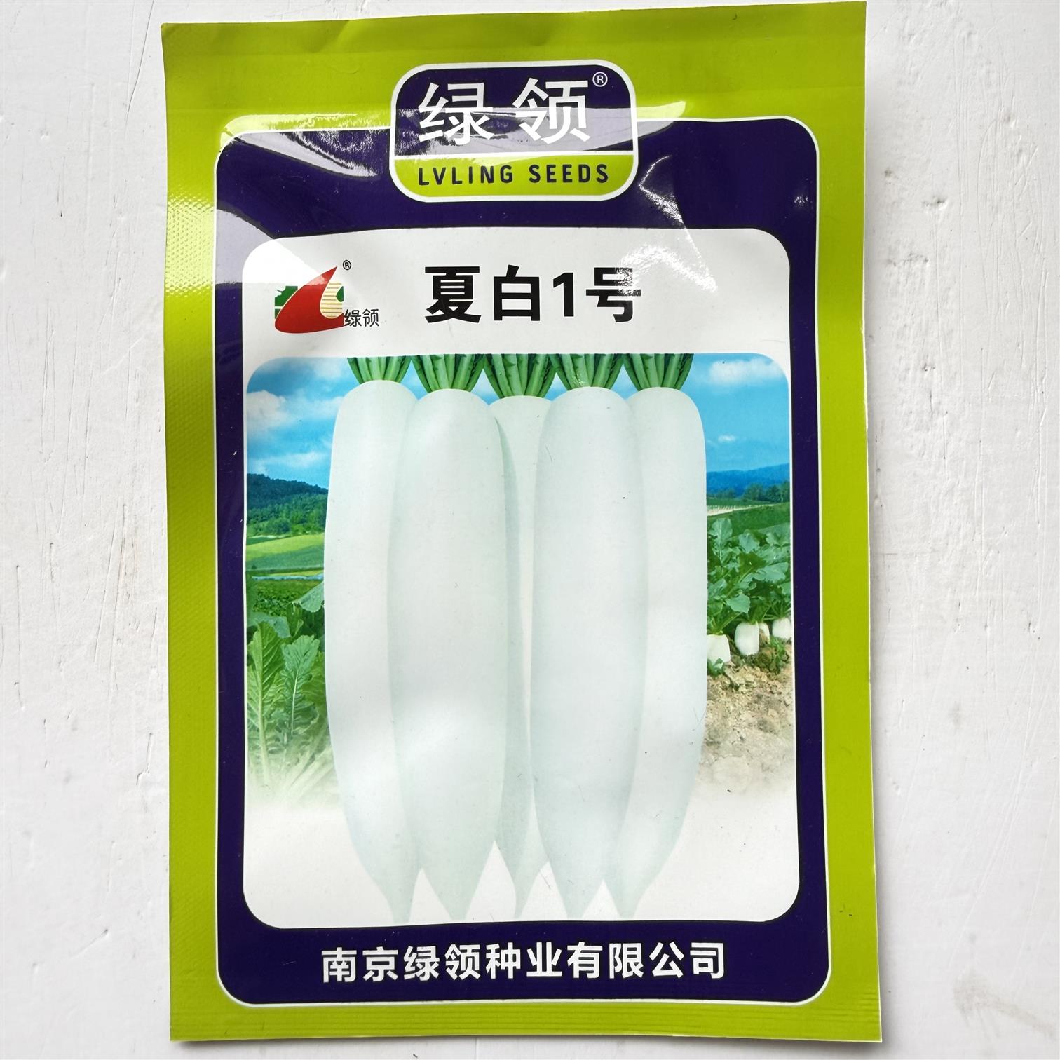 夏白1号长白萝卜种子白皮白肉杂交板叶萝卜种籽春夏秋季播种萝卜