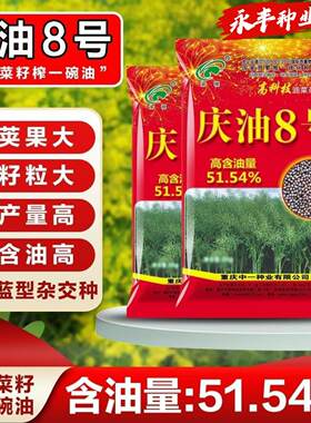 庆油8号杂交高产籽甘蓝型油菜种子矮杆耐寒抗倒早熟高油油菜籽种