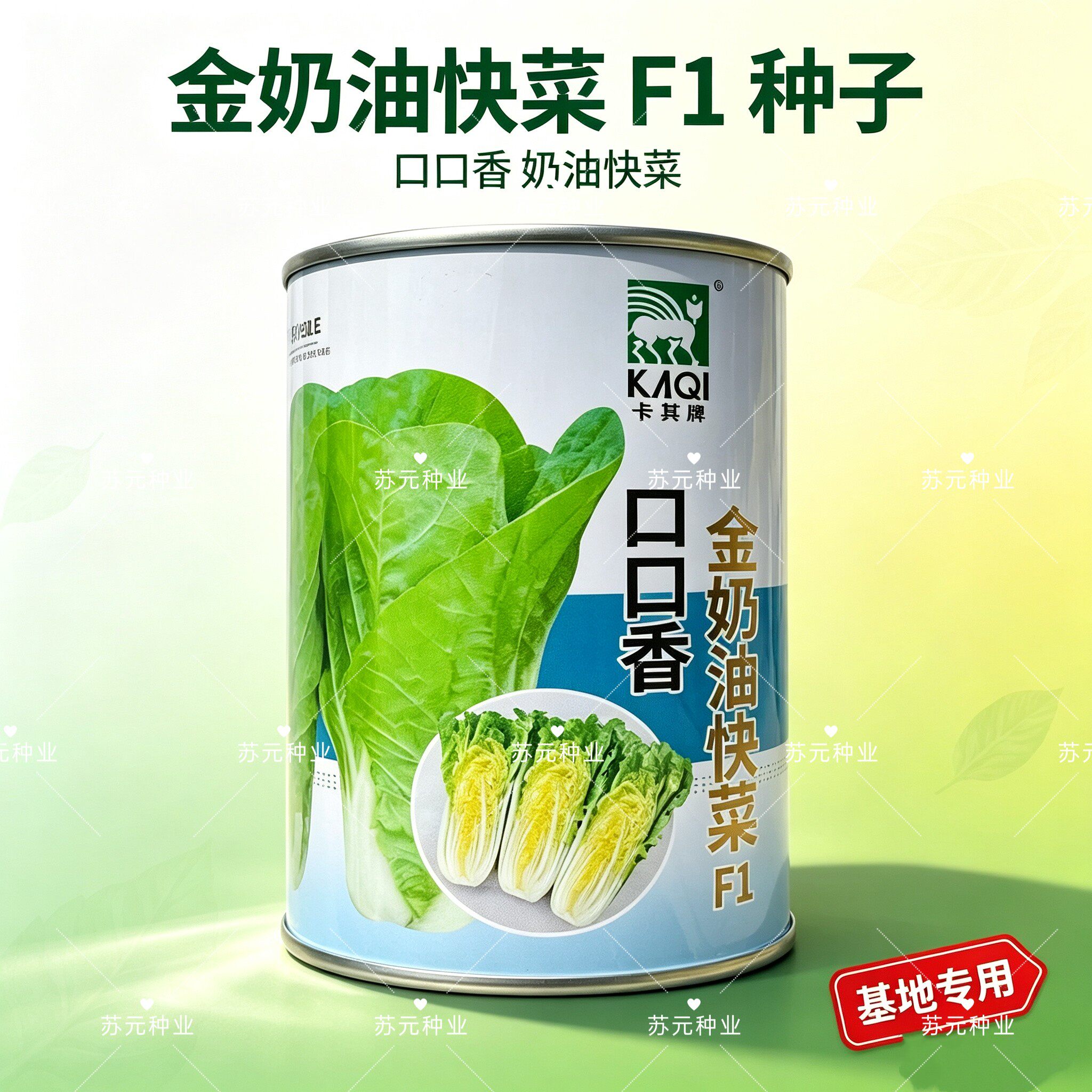 口口香金奶油快菜种子四季小白菜蔬菜青菜菜籽孑子籽种莱快菜种籽