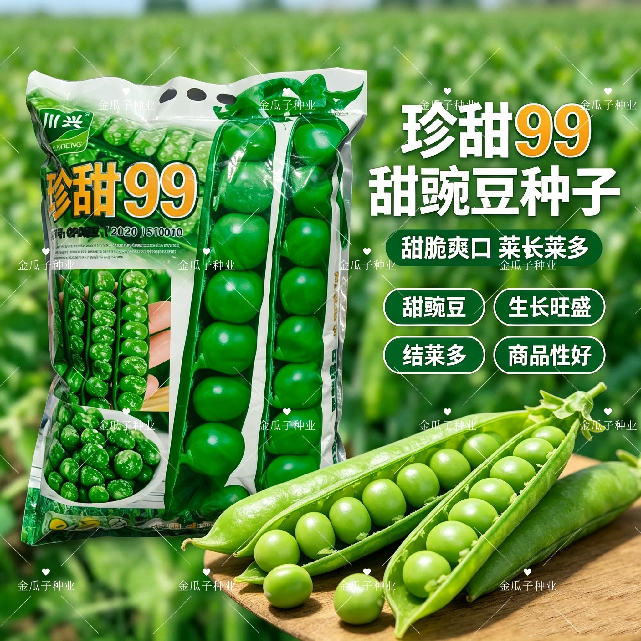 长寿仁豌豆种子珍甜99甜脆青豌豆甜豌豆种籽大荚豆荚种子秋季种植