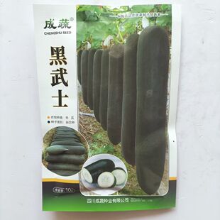 黑武士黑皮冬瓜种子高产抗病耐热耐寒吊瓜爬地瓜种籽农家春秋种孑