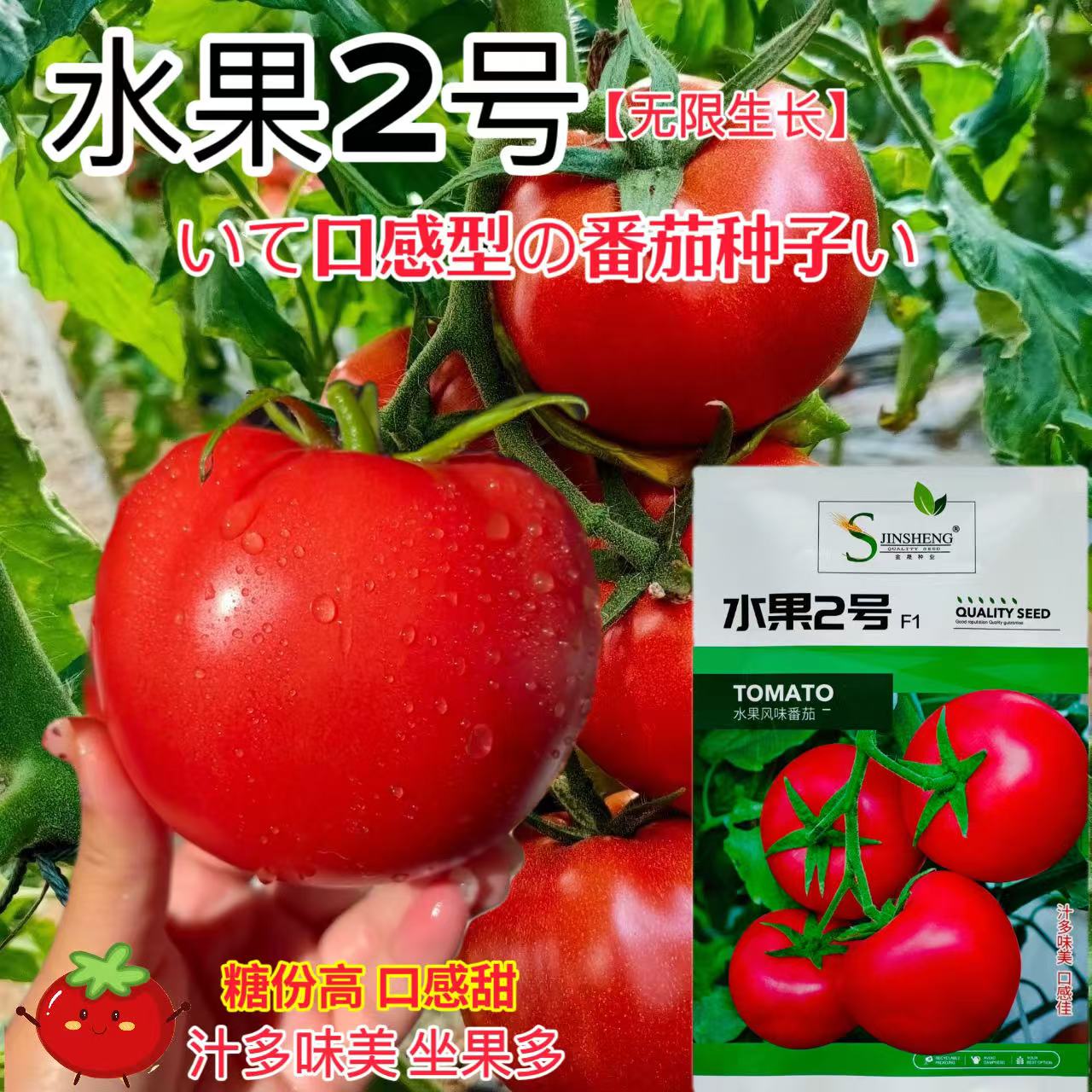 水果2号番茄种子无限生长春秋棚室露地播粉果西红柿种籽口感甜爽