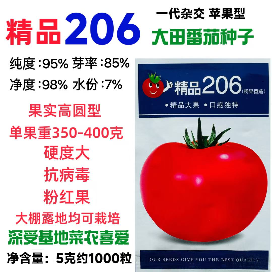 精品206大粉果番茄种子大果型硬度大西红柿种子高产抗病无裂果孑
