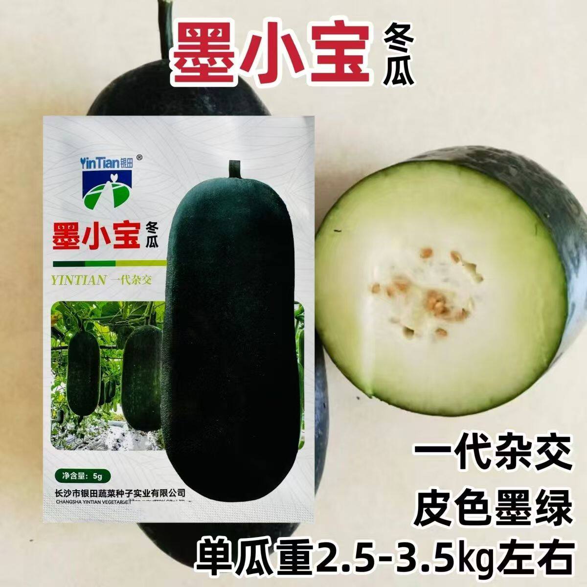 银田墨小宝小冬瓜种子杂交迷你冬瓜种子墨绿皮小型冬瓜籽蔬菜种籽