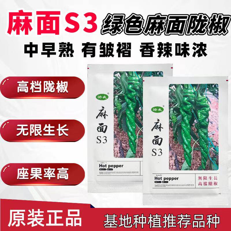 麻面S3陇椒种子无限生长型早中熟高产螺丝椒膨果快辣味香浓高抗病