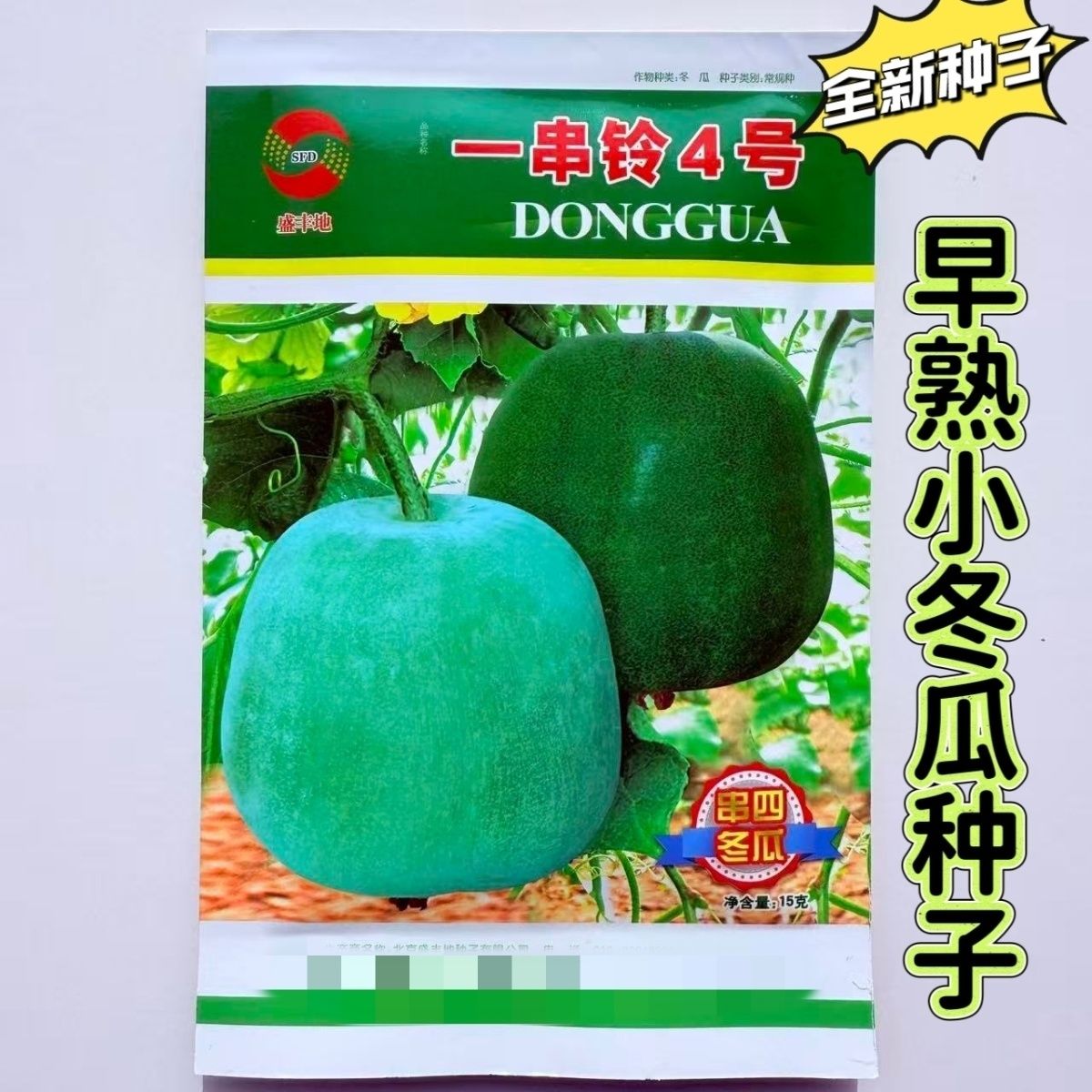 一串铃4号粉皮冬瓜种子四季阳台种植高产农家四季蔬菜小冬瓜种子