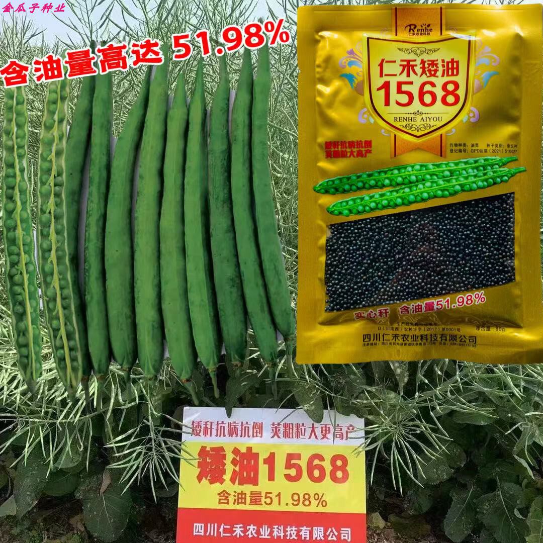 仁禾矮油1568油菜种子矮杆实心杆耐寒黑油菜种籽精品榨油油菜种子高性价比高么？