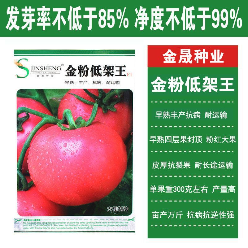 金粉低架王/普拉提 番茄种子早熟粉红大果型西红柿种籽自封顶高抗