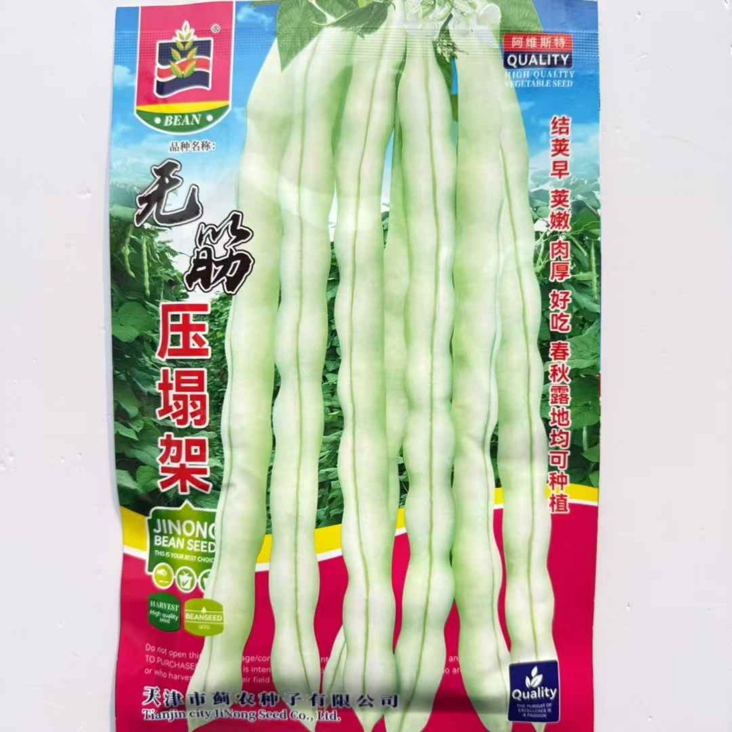 无筋压塌架菜豆种子早熟厚肉架豆种籽春秋播种无筋架豆王四季豆籽