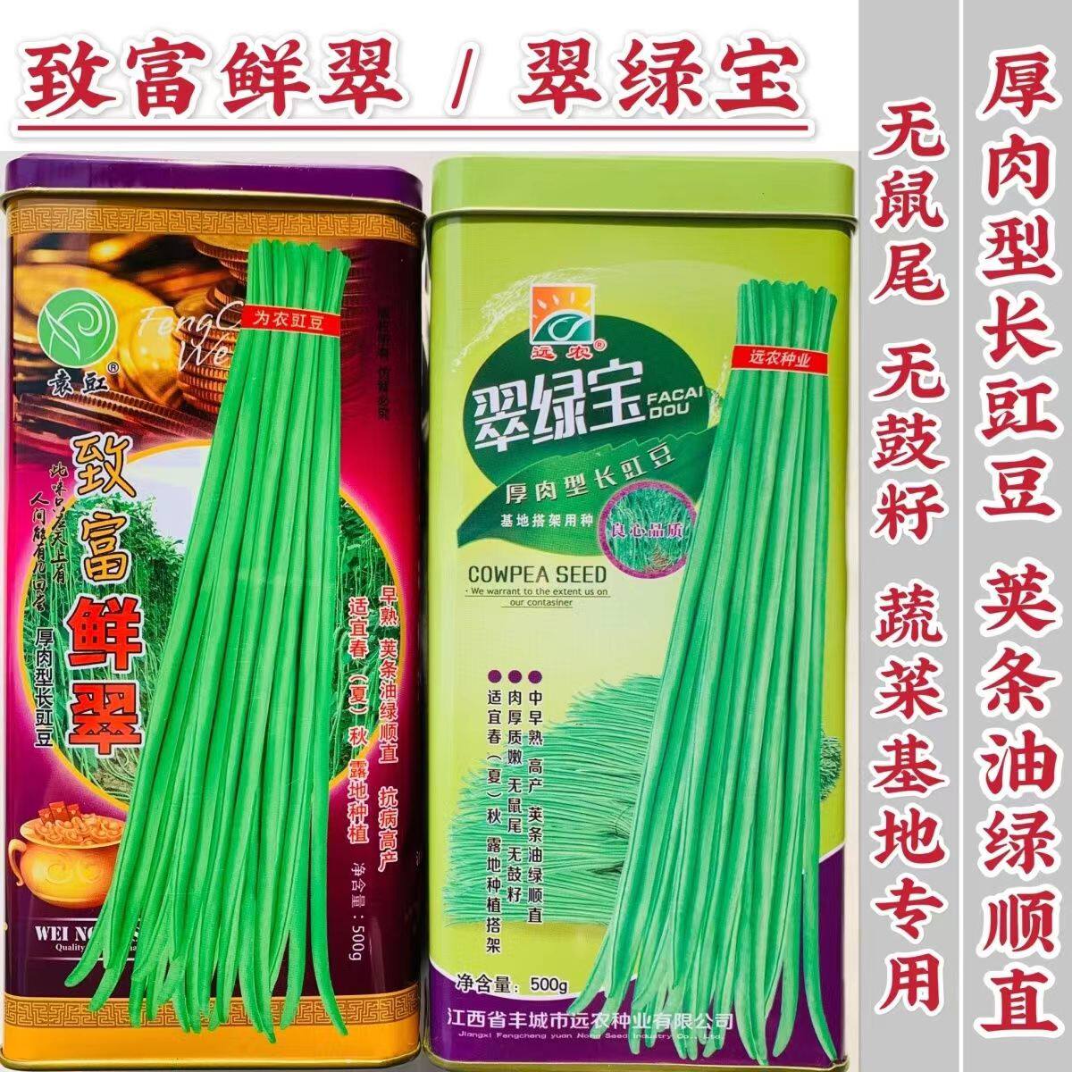 翠绿宝致富鲜翠豆角早熟肉厚高产
