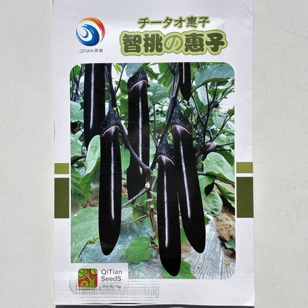 智桃惠子茄子种子早熟黑紫长茄种籽春秋高产抗病耐热耐寒黑茄