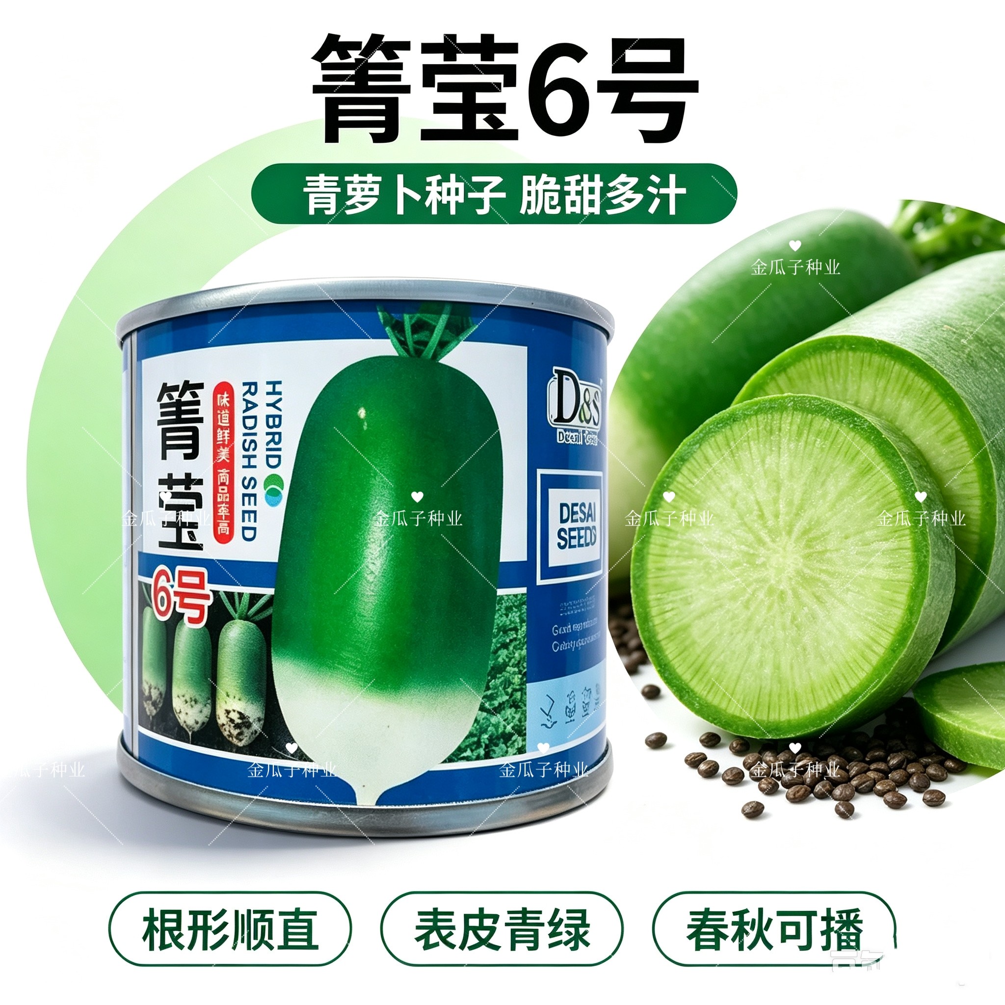 箐莹6号三系杂交青萝卜种籽青皮浅绿肉萝卜种子耐热夏秋季播蔬菜