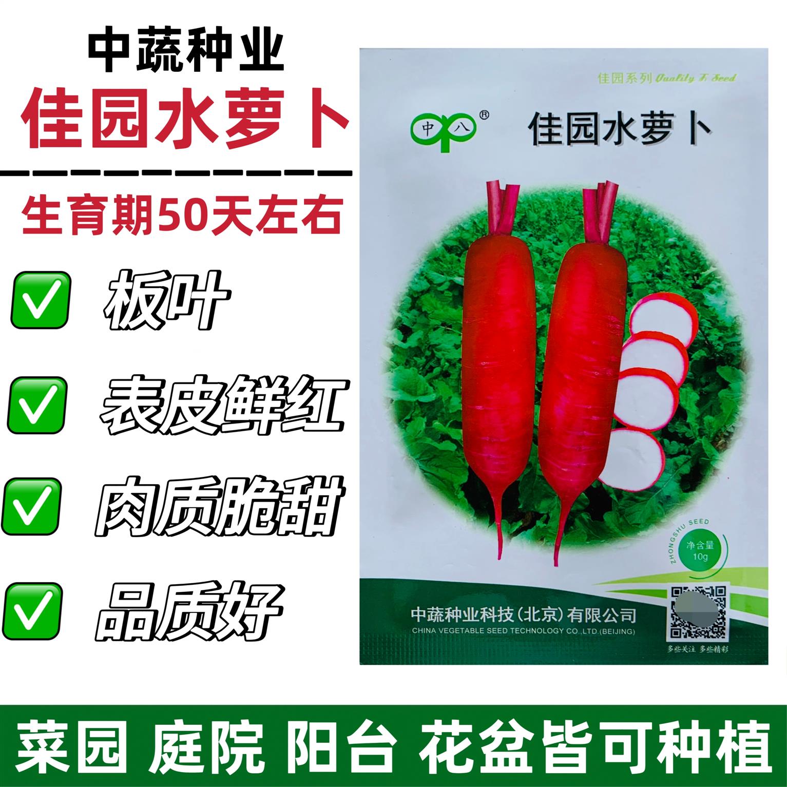 佳园水萝卜种子红皮白肉甜脆多汁不糠心阳台蔬菜种籽菜园易种蔬菜