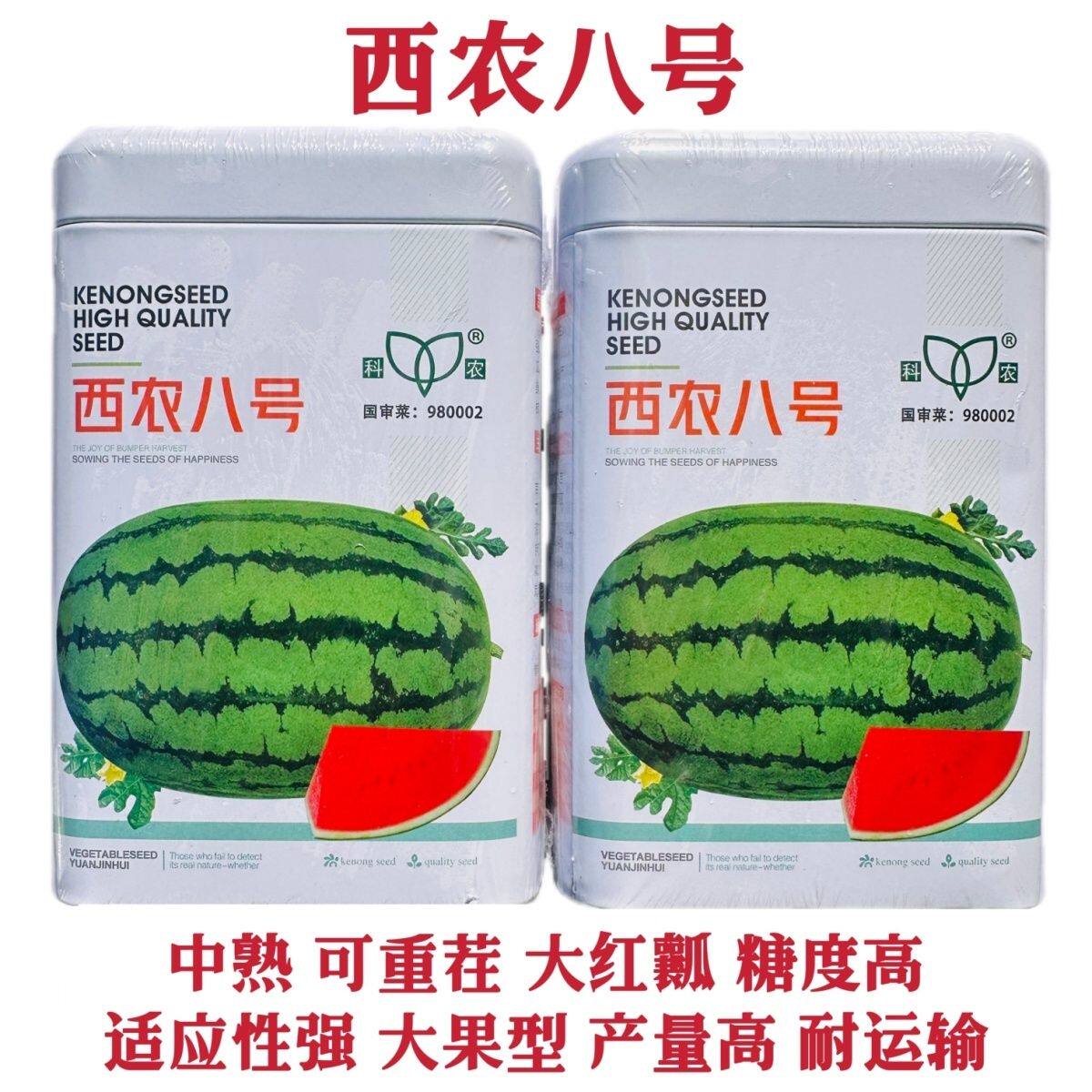 科农西农八号西瓜种子大红瓤高产可重茬高糖甜度高特大号西瓜种籽