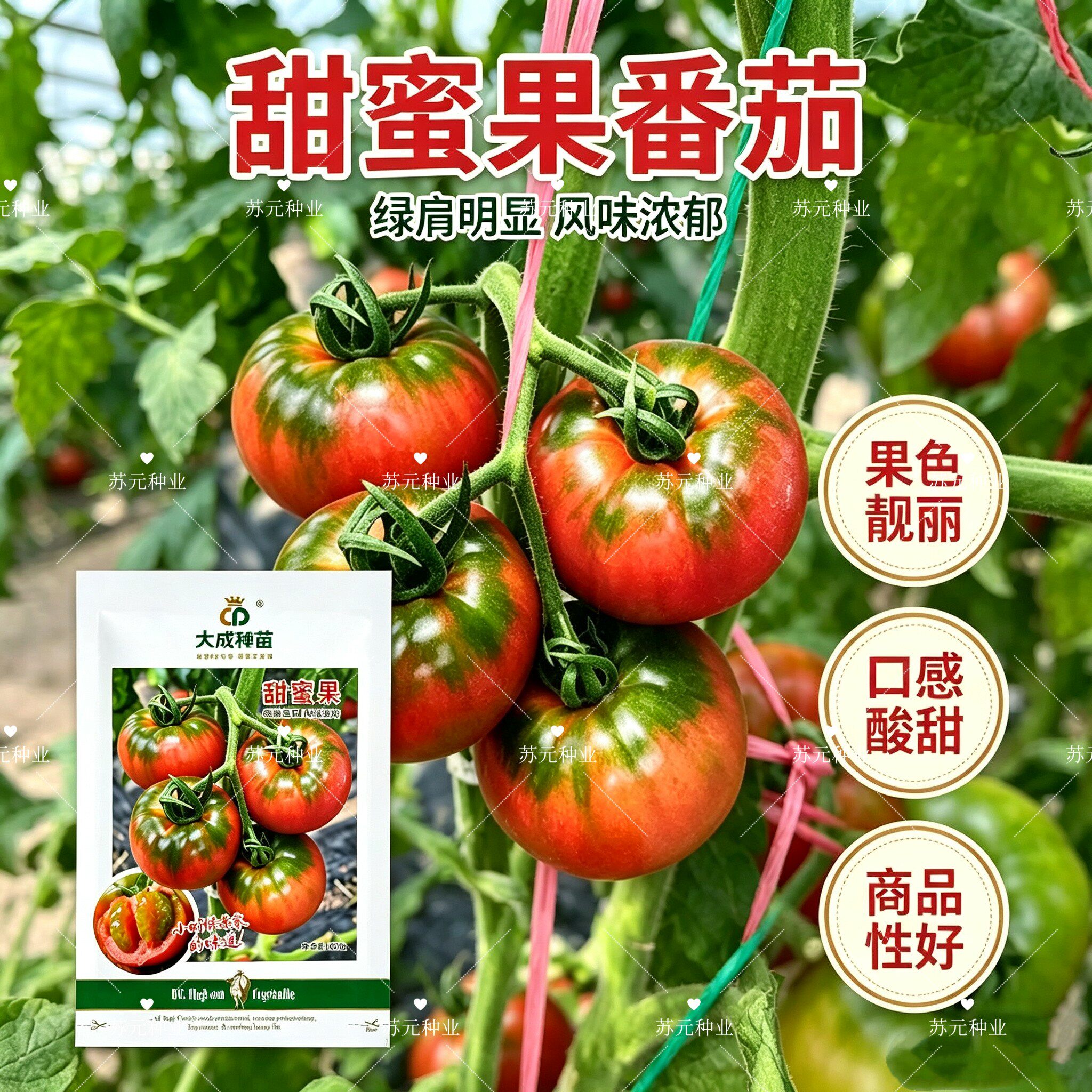 甜蜜果高端口感番茄种子大果草莓番茄酸甜爽口铁皮柿子西红柿种籽